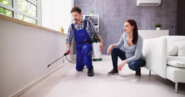 Trusted Clifton, AZ Pest Control Experts